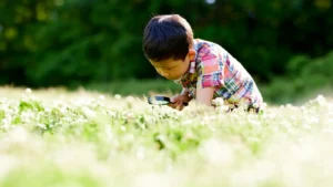 What Are the Best Calgary Activities for Preschool Children