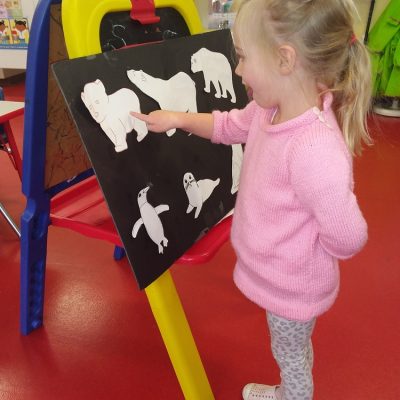 Arctic animal learning. 2