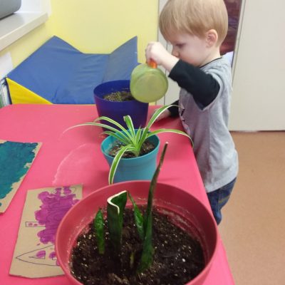 Taking care of the classrooms plants - life skills at work