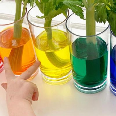 celery month - colour exploraton science week 2 part 2